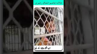 TLP UPDATE | ALLAMA ASIM ISHFAQ RIZVI TODAY AT ATC COURT | 27 APRIL 2021