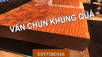 Sập gỗ cẩm hồng vân chun khủng nhất Việt Nam - mua ngay giá cực rẻ