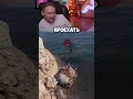 ДЖОВ СМОТРИТ УГАРНЫЕ ПРИКОЛЫ МИР ТАНКОВ #миртанков #jove #wot #shorts #shortvideo #lebwawot #джов