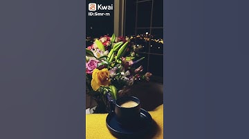 القارئ هزاع البلوشي // ايات قرآنيه قصيره // راحه نفسيه // حالات واتس آب قرآن // ستوريات انستا دينيه