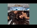 Santa Leda ft.Barbara Bobak-Spedup