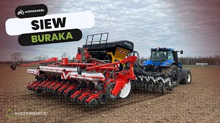 Punktowy siew buraka - NEW HOLLAND T8.390 / AGRISEM SLY STRIPCAT II / KUHN MAXIMA 3 RX
