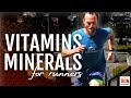 10 Key Vitamins And Minerals For Runners