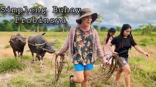 SIMPLENG BUHAY PROBINSYA [ A day in our life ] | Ann Kaalaman