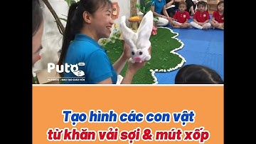 PutoEdu | Tạo hình các con vật vằng vải sợi và mút xốp| Hương Nguyễn Thị