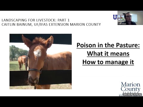 Poison in the Pasture: What it Means - How to Manage it