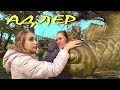 АДЛЕР.МОРЕ ПОСЛЕ ДОЖДЯ И ЧЁРНАЯ РЕКА.ЧТО СЕЙЧАС ЦВЕТЁТ ..