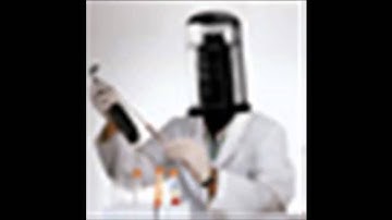 Null Object - Boof And Doof Look For Choof