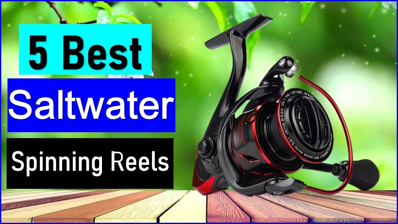 reel shimano curado Shimano