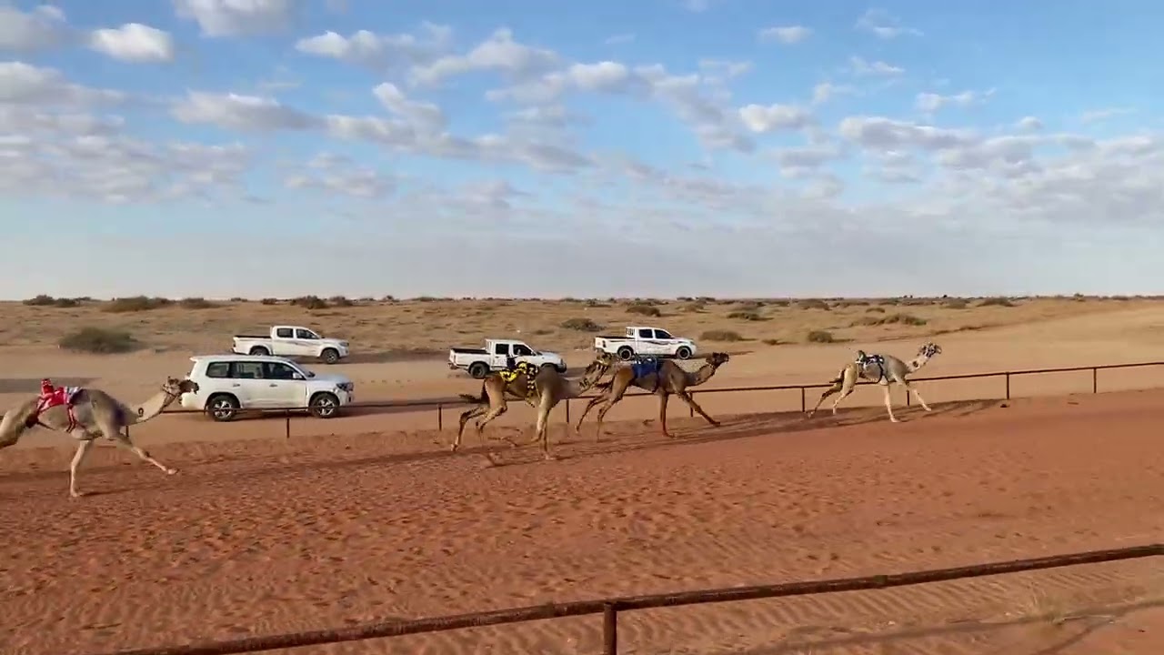 رابح/ هاني عيد حماد العطوي