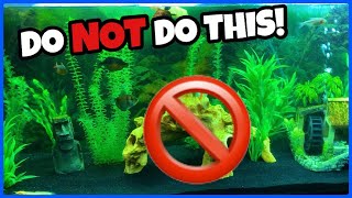 My Pet Turtle ALMOST Died...
