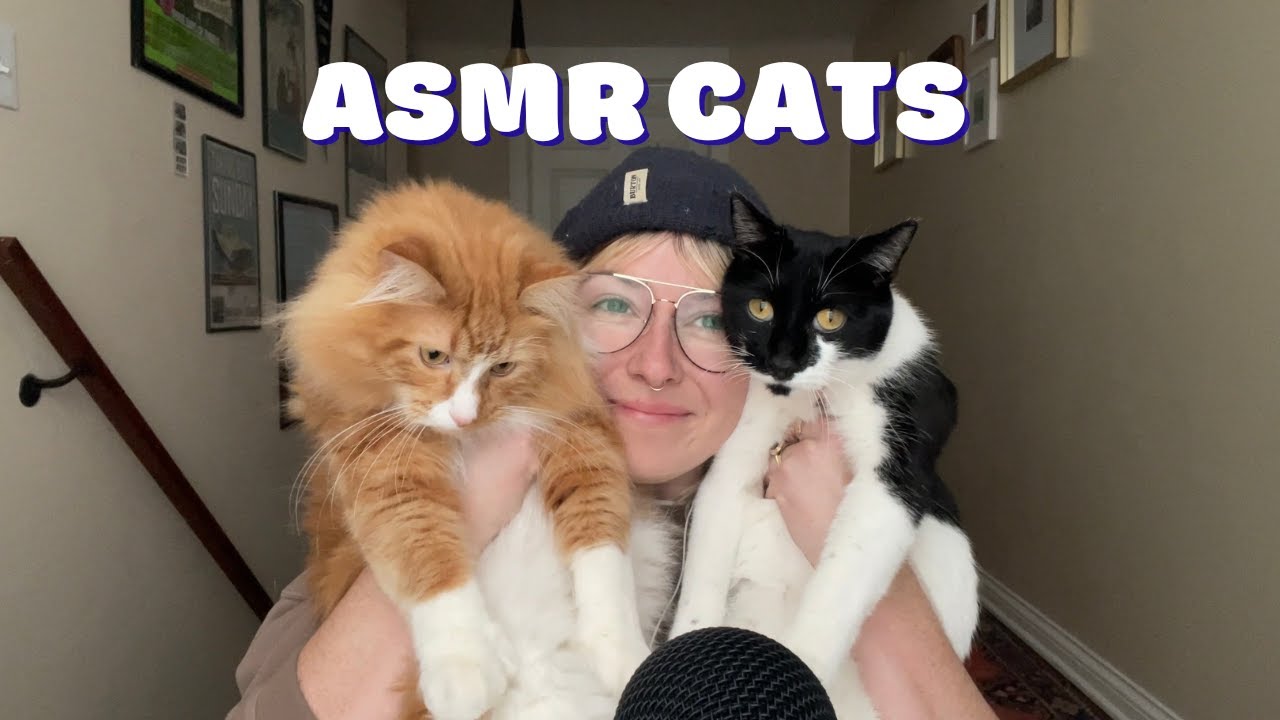 Chaotic Light ASMR (Interrupted by Cats 🐈‍⬛)