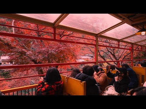 【4K】【そうだ京都へ行こう 2020秋 嵯峨野トロッコ列車 嵯峨野から亀山夕方】
