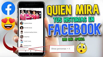 ¿Pueden los espectadores de historias privadas ver quién aparece en la historia?