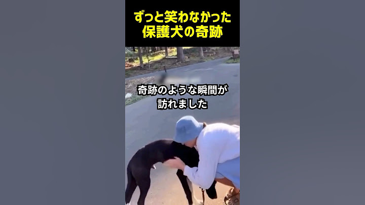 1番悲しい目をしていた保護犬が笑うまでの奇跡✨✨#感動する話 #感動の館 #犬のいる生活 #犬 #保護犬