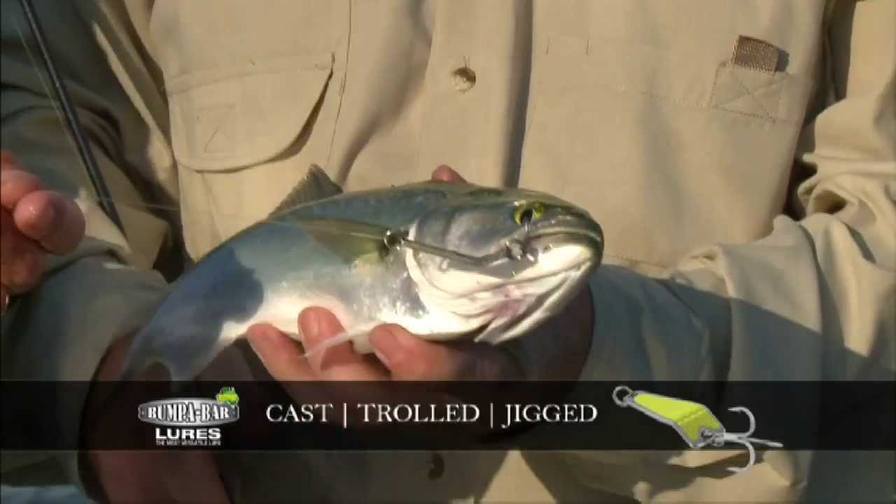 BumpaBar Lures YouTube