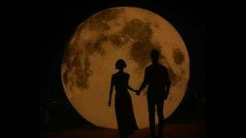 The moon is beautiful, isn’t it? ( a classical playlist )