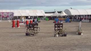 Comeback De Fremis - 1.50m GP Vilamoura wk3