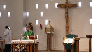 Wednesday in the 11th Week of Ordinary Time