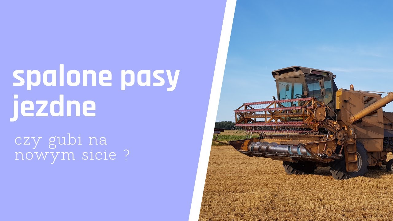 Wykrakałem i spaliłem pasy w Bizonie. Żniwa 21', Ile gubi ?