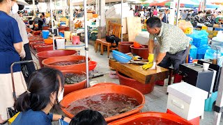 The Way How Asians Sell Fish! Fish Cutting Masters! / Tuna, King crab, Eel, | Fish market