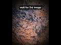 Sony a6000 sony 55-210mm photography #shorts #cinematic