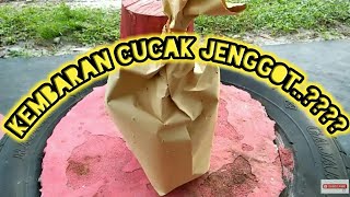 Unboxing Burung Endemik Kalimantan ||👍 Cocok Untuk Masteran Trotolan Murai Batu