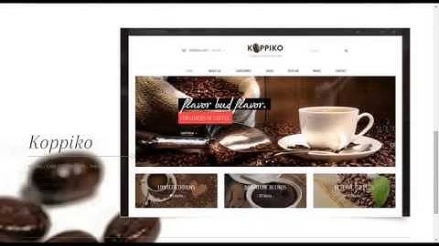 Responsive Magento Template Club/ Membership | 10+ Responsive Magento 1.9 Themes