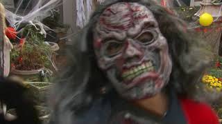 Going trick-or-treating? How to keep your kids safe this Halloween