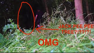 The Jack Pee Pee Tree