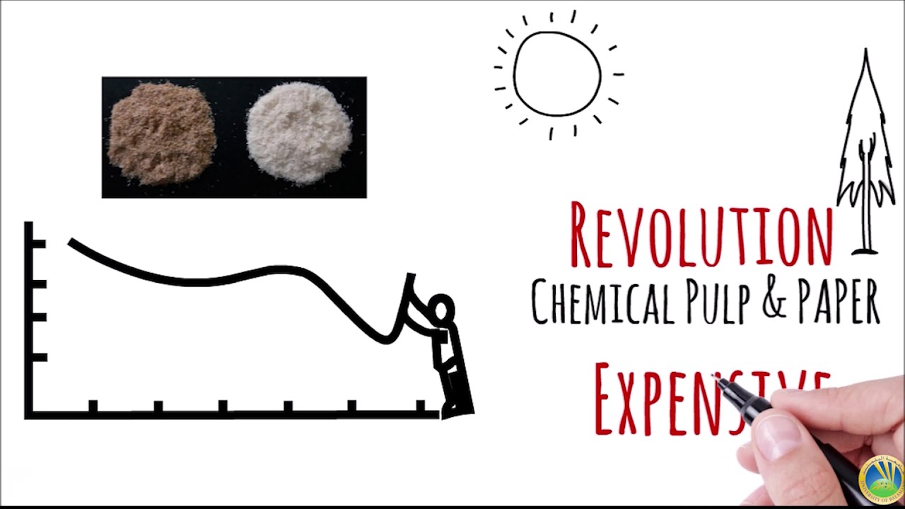 Waste to Treasure - The Utilization of Brewer's Spent Grain in Various Fields