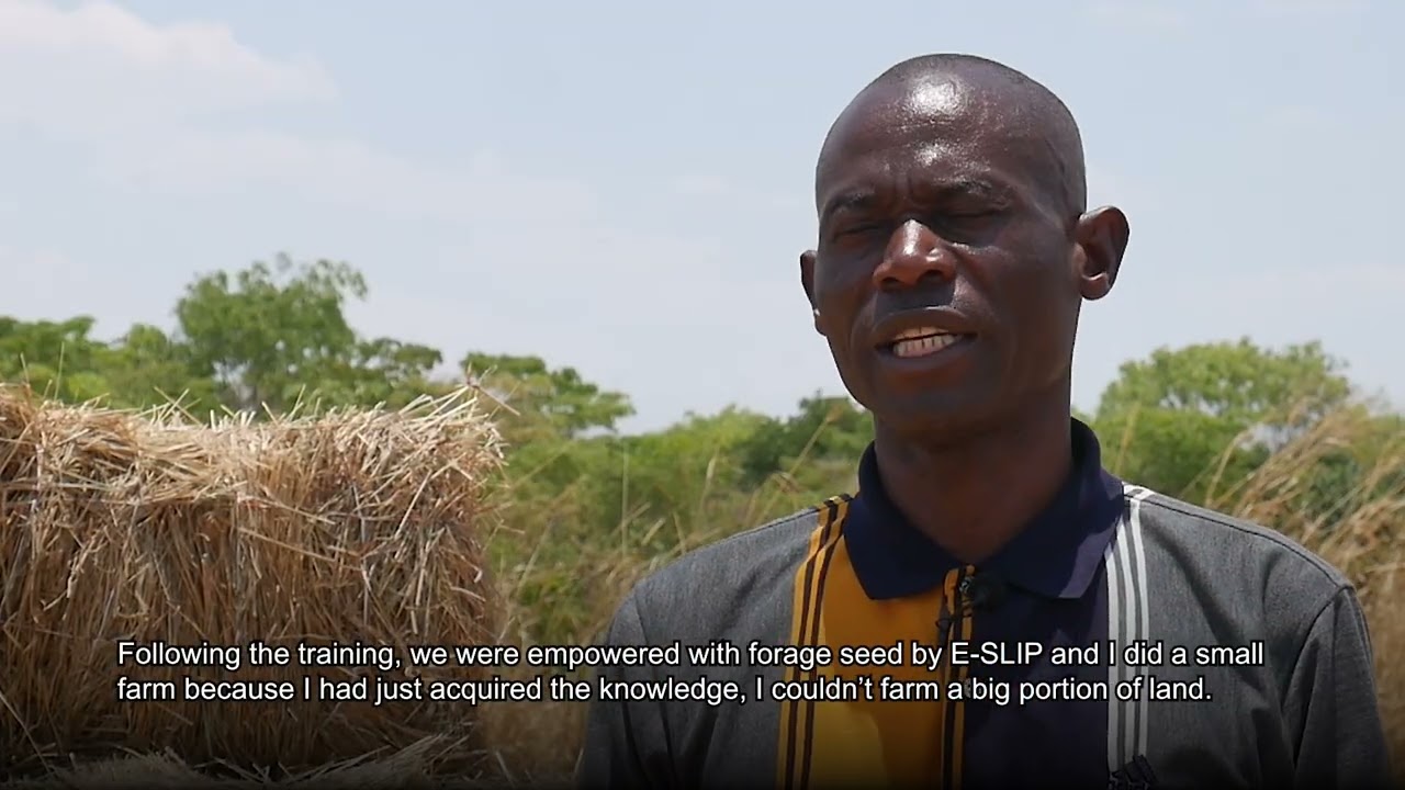 ZAMBIA: Tracking livestock farming progress in Northern Province