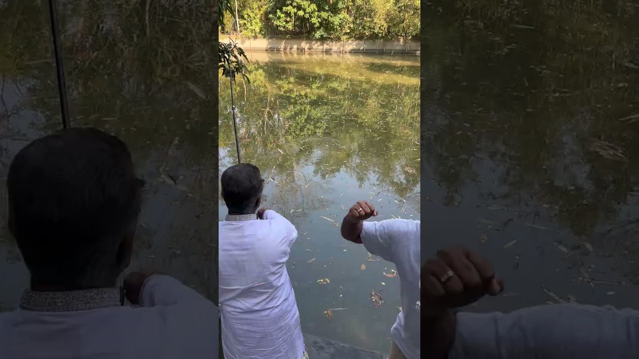 মাছ ধরার দৃশ্য টি স্মৃতি হয়ে রইলো মামা+ভাগ্নে #evryone  #foryoupage #lovelymoment