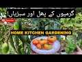 SUMMER GARDENING IN WAH CANTT | EP2