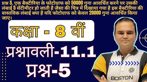 Ex-11.1 Q-5 Class 8 Math, Chapter 11 (Direct and Inverse Proportion) Hindi Medium New Syllabus