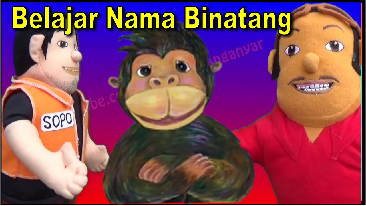 Belajar Nama Binatang Bersama Boneka Sopo Jarwo YouTube