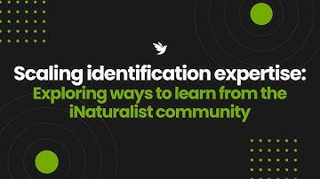 Scaling identification expertise: Exploring ways to learn from the iNaturalist community