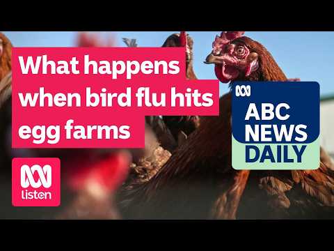 | ABC <strong>News</strong> <strong>Daily</strong> podcast
