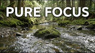 30 Min Pure Focus Time: PNW Creek Ambience for Deep Work & Study screenshot 4