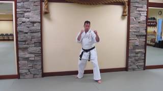 Reverse Punch