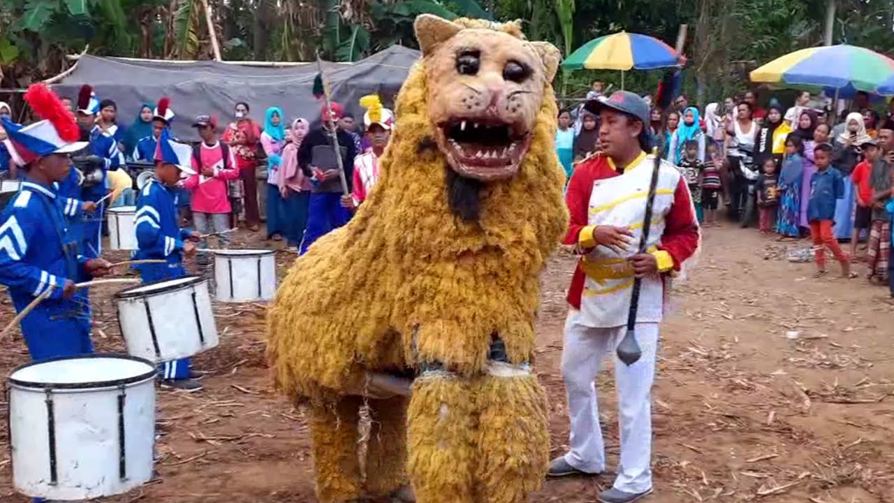 Can Macanan Dan Drumband Al Faqih Atraksi di Kalianyar part 1
