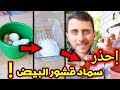 ماذا يحدث إذا استخدمت قشور البيض كسماد لنباتاتك ماذا يحدث إذا استخدمت قشور البيض كسماد لنباتاتك