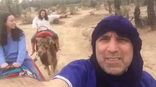 Camel Ride In Morocco