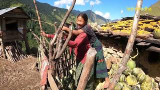 crops drying || lajimbudha || Nepal🇳🇵||