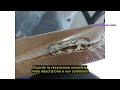 Recensione del 5 five simply smart 5five - scaffale angolare fixy bianco