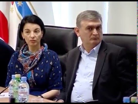 თბილისის მერიაში მდინარე ვერეს ხეობის სივრცით-ტერიტორიული განვითარების კონცეფცია წარმოადგინეს