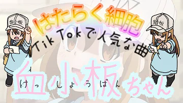 血小板ちゃん 勝手な行動しないこと