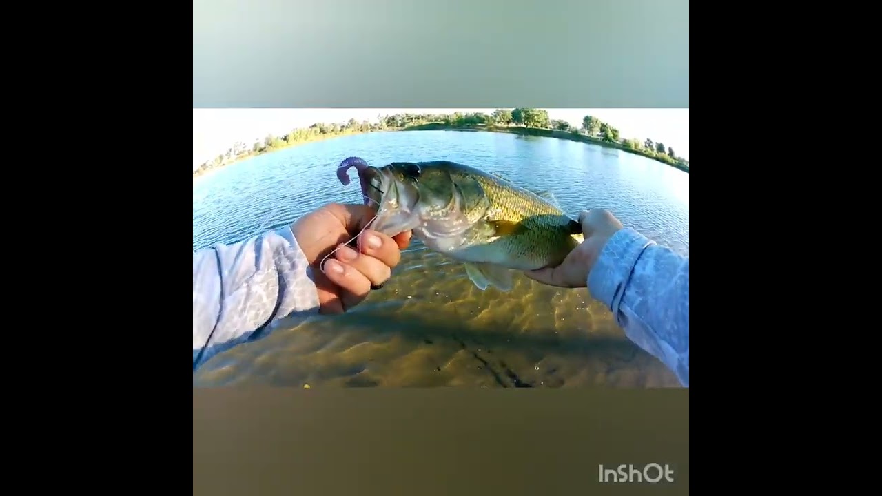 Nebraska bass fishing🤙💪🎣🇺🇸