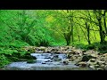 Native American Flute: Sleep Meditation Music, Relaxing Music for Sleeping, Soothing Relaxation