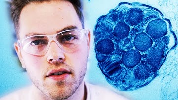 Methane Eaters - Microbiologists #4